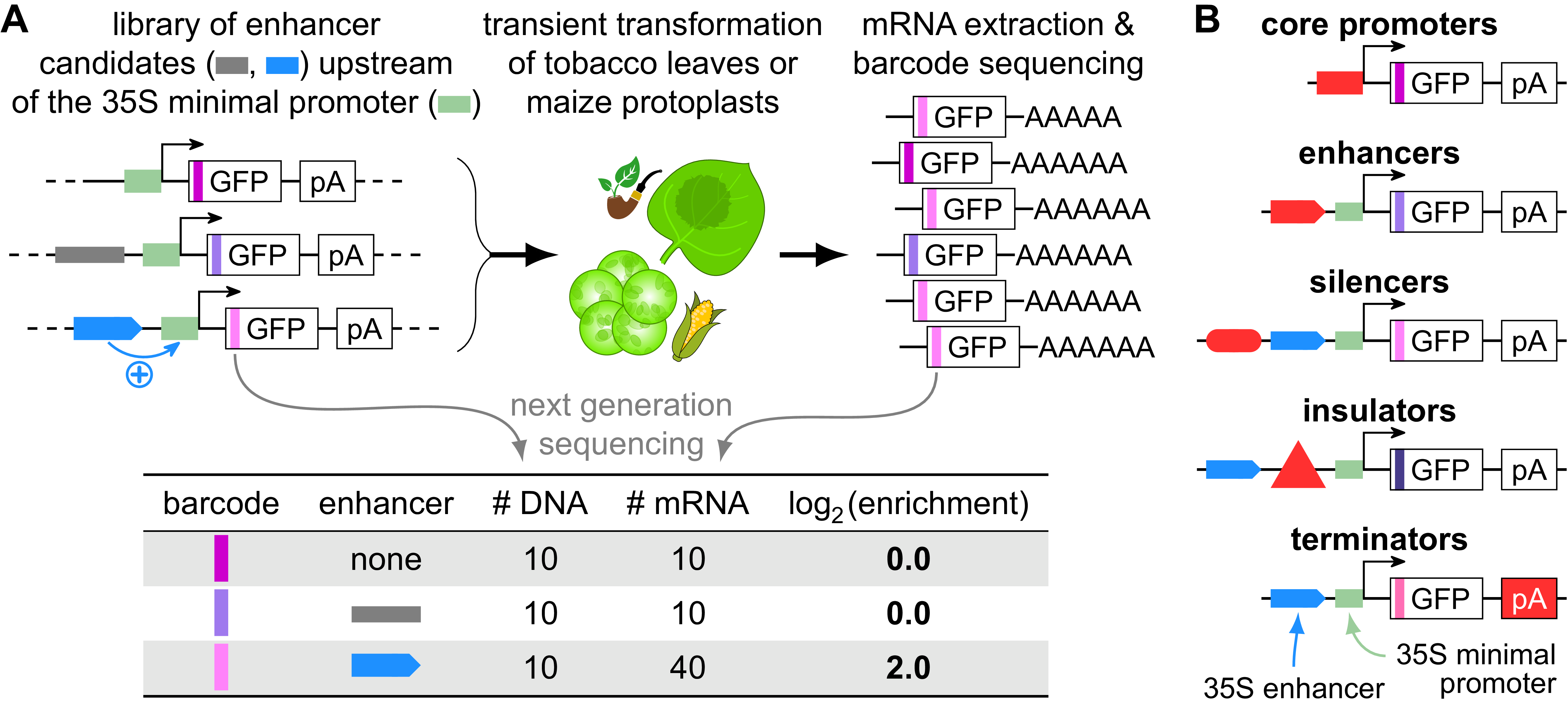 High-level overview of PETAL model documentation.